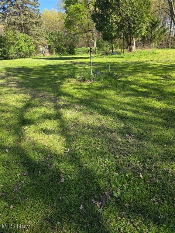 5961-5971 Streeter, Mantua, OH 44255 - view of yard