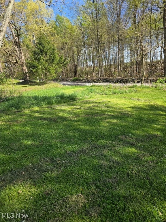 5961-5971 Streeter, Mantua, OH 44255 - view of yard