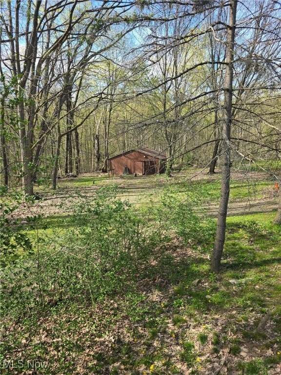 5961-5971 Streeter, Mantua, OH 44255 - view of yard featuring a forest view