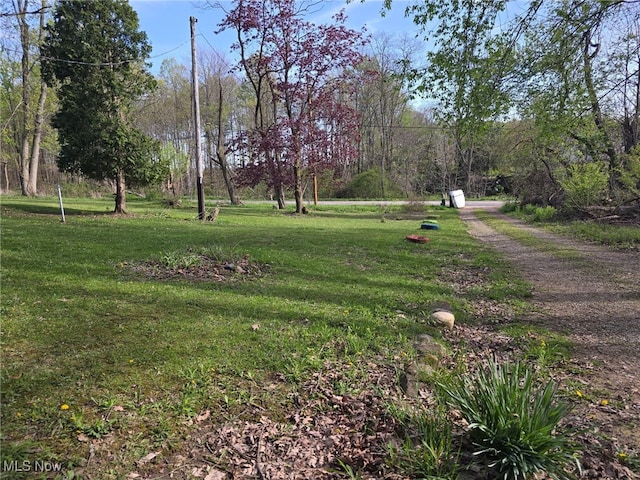 5961-5971 Streeter, Mantua, OH 44255 - view of yard