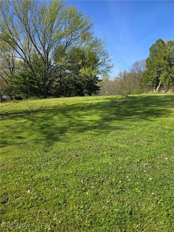 5961-5971 Streeter, Mantua, OH 44255 - view of yard