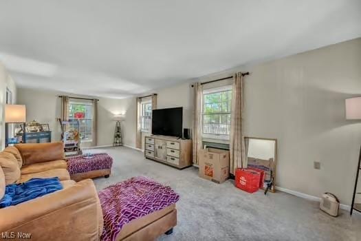 living area with baseboards and carpet