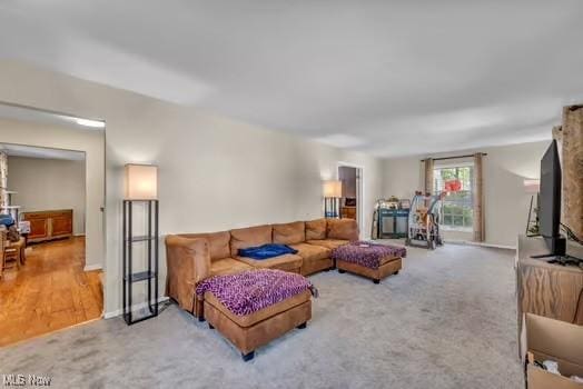 living room featuring carpet flooring