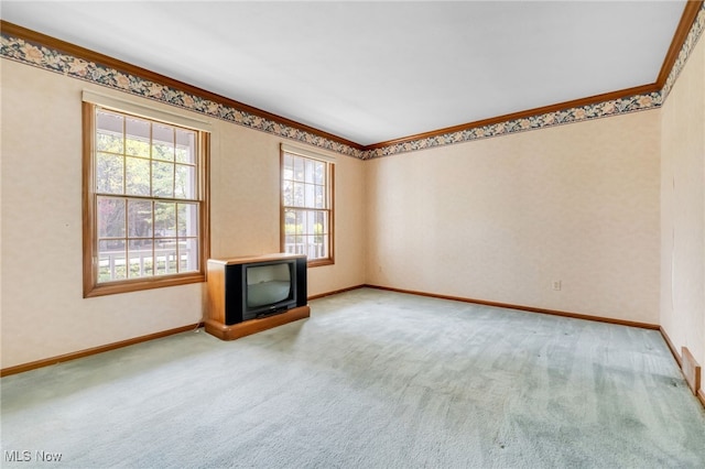 empty room with carpet flooring and ornamental molding