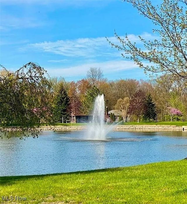 property view of water