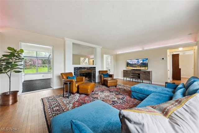 living room with baseboards, wood-type flooring, and a premium fireplace