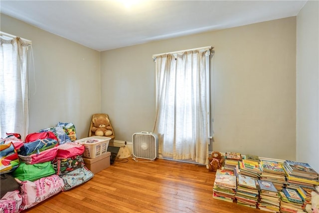 bedroom featuring wood-type flooring