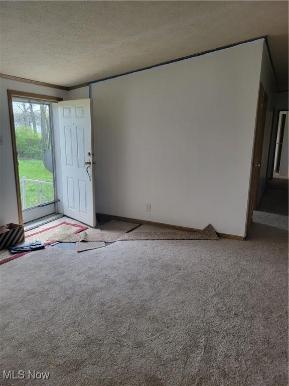 interior space featuring baseboards, a textured ceiling, carpet, and ornamental molding