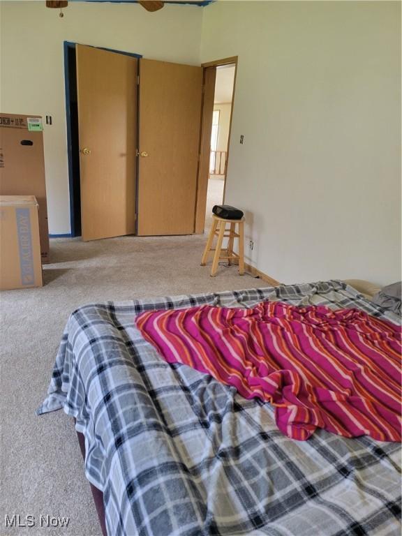 bedroom featuring carpet flooring