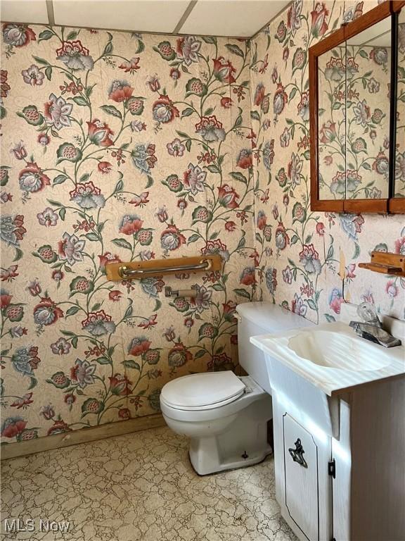 112 E College St, Alliance, OH 44601 - bathroom with vanity, toilet, and wallpapered walls