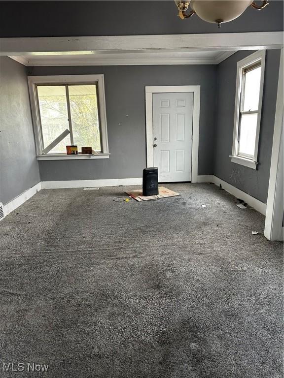 11413 Notre Dame Ave, Cleveland, OH 44104 - spare room featuring ornamental molding, carpet, and a healthy amount of sunlight