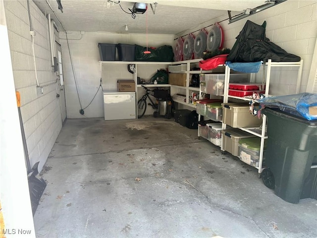 storage featuring a garage