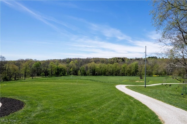 4293 Clear Creek Valley Rd, Wooster, OH 44691 - photo 11
