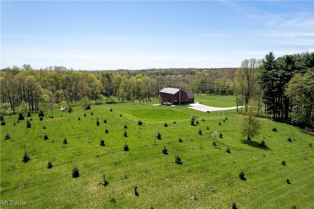 4293 Clear Creek Valley Rd, Wooster, OH 44691 - photo 4