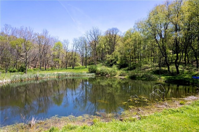 4293 Clear Creek Valley Rd, Wooster, OH 44691 - photo 3
