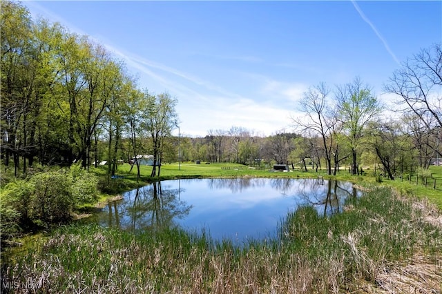 4293 Clear Creek Valley Rd, Wooster, OH 44691 - photo 9