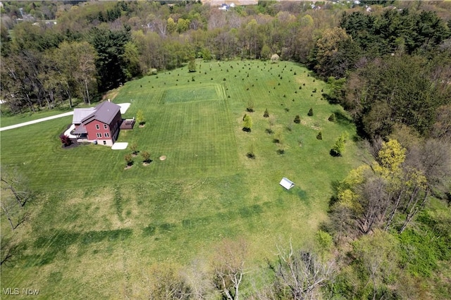 4293 Clear Creek Valley Rd, Wooster, OH 44691 - photo 10