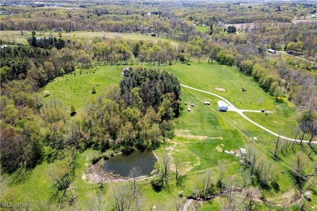 4293 Clear Creek Valley Rd, Wooster, OH 44691 - photo 2
