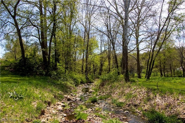 4293 Clear Creek Valley Rd, Wooster, OH 44691 - photo 8