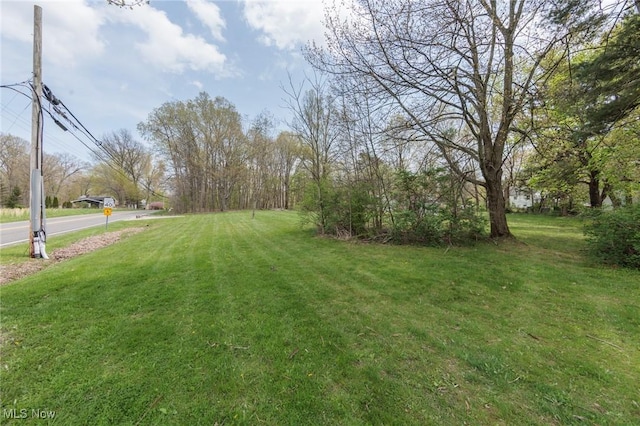 4682 State Route 43, Kent, OH 44240 - view of yard