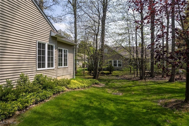 11235 Frederick Ln, Twinsburg, OH 44087 - view of yard