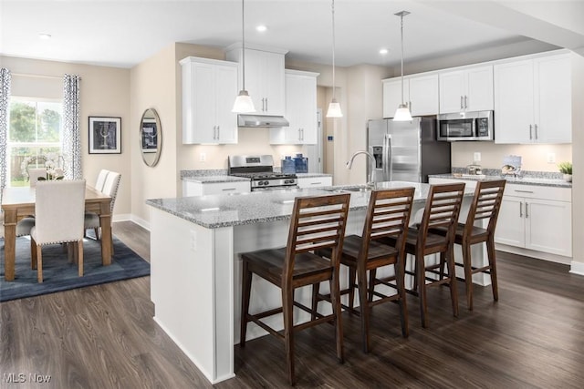 1030 Ashford Ct, Columbia Station, OH 44028 - kitchen with an island with sink, dark wood-style floors, under cabinet range hood, a sink, and stainless steel appliances