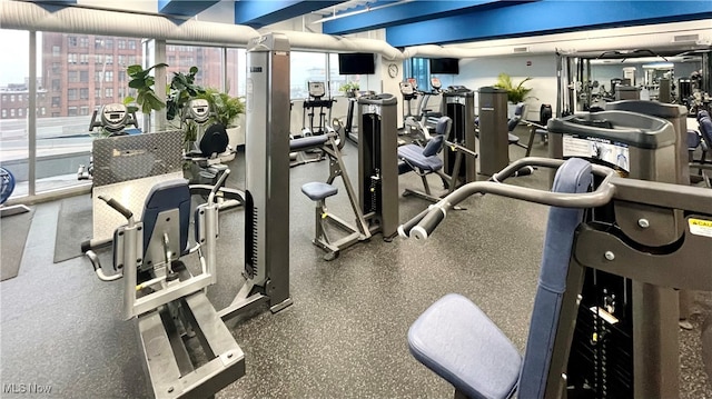exercise room featuring a wealth of natural light