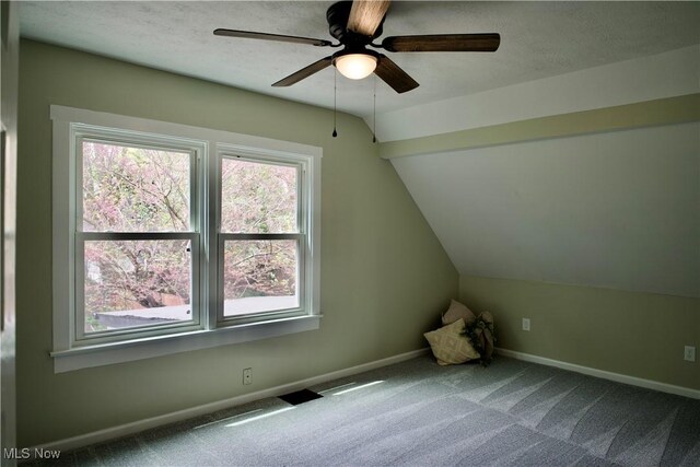 918 Pitkin Ave, Akron, OH 44310 - additional living space with baseboards, a ceiling fan, carpet flooring, and lofted ceiling