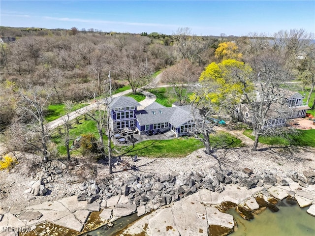drone / aerial view
