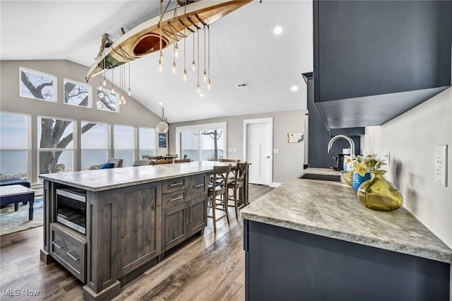 kitchen with stainless steel microwave, lofted ceiling, a healthy amount of sunlight, and dark brown cabinetry