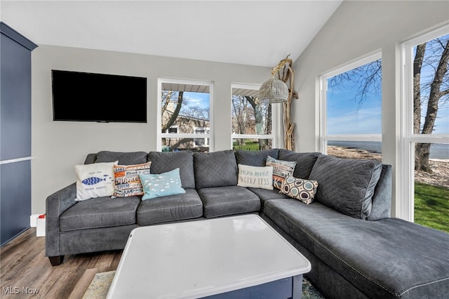 living area with wood finished floors, vaulted ceiling, and a healthy amount of sunlight