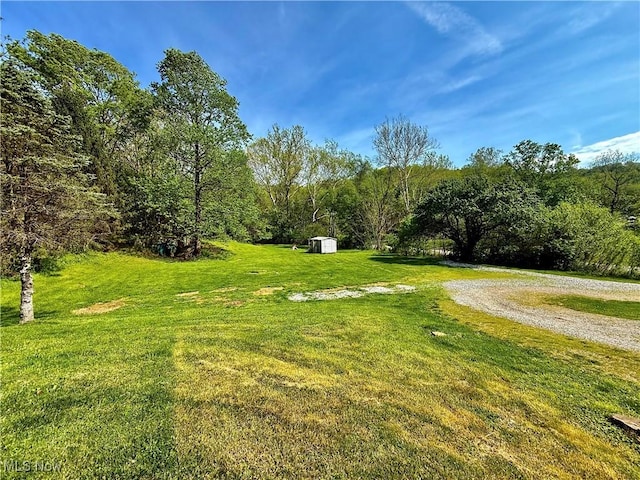 view of yard featuring an outdoor structure and a shed