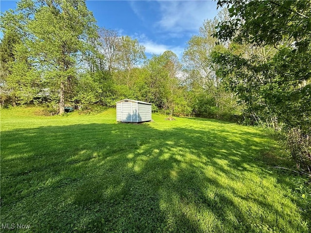 view of yard featuring a storage shed and an outdoor structure