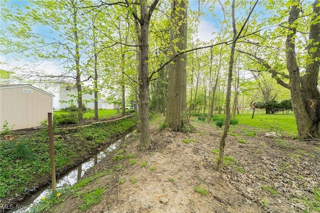 view of yard featuring an outbuilding