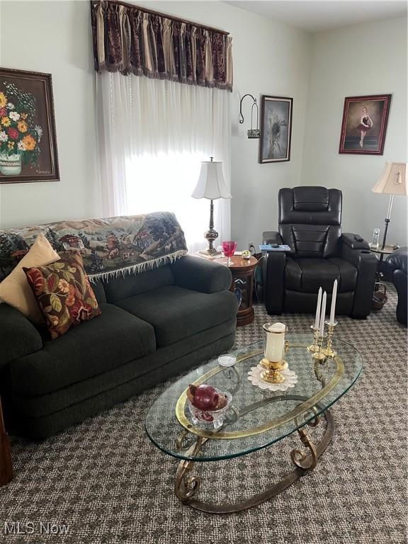 living room featuring carpet