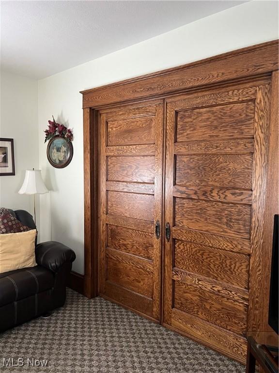 living area featuring carpet floors