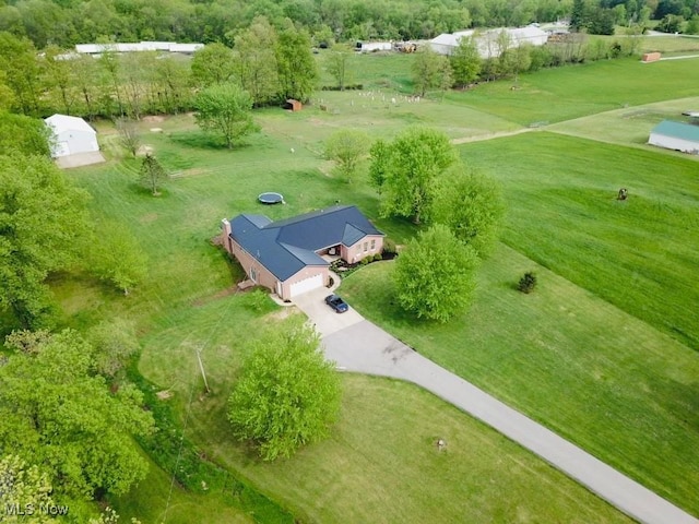 bird's eye view
