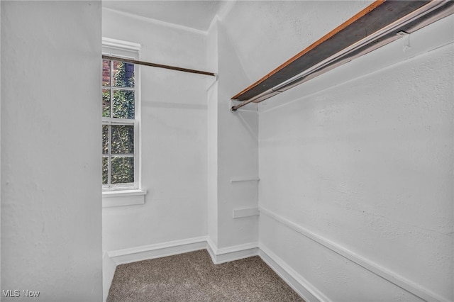 spacious closet with carpet flooring