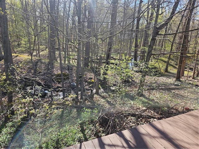 view of local wilderness featuring a forest view