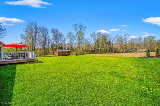 view of yard featuring a storage unit, an outdoor structure, and a deck