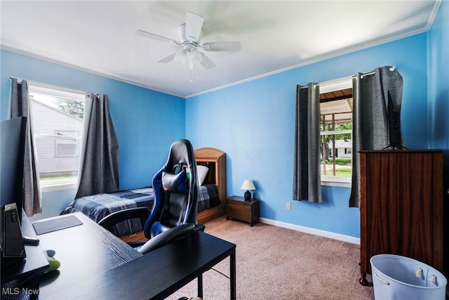 7377 Sierra Madre Trl, Boardman, OH 44512 - home office with carpet floors, baseboards, ornamental molding, and a ceiling fan