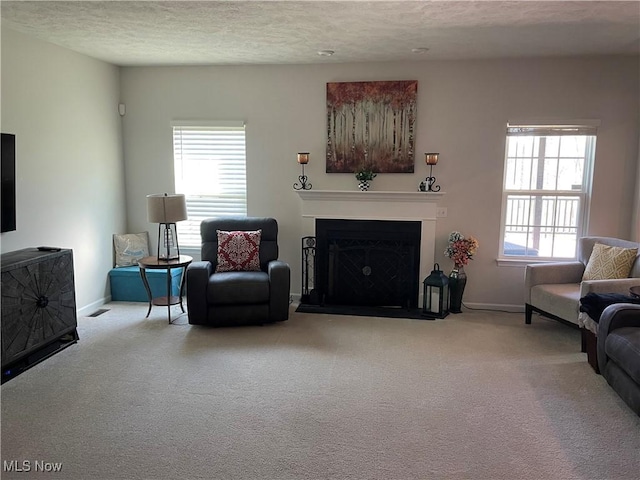 840 Sunrise Cir, Aurora, OH 44202 - carpeted living area with a textured ceiling, baseboards, and a fireplace
