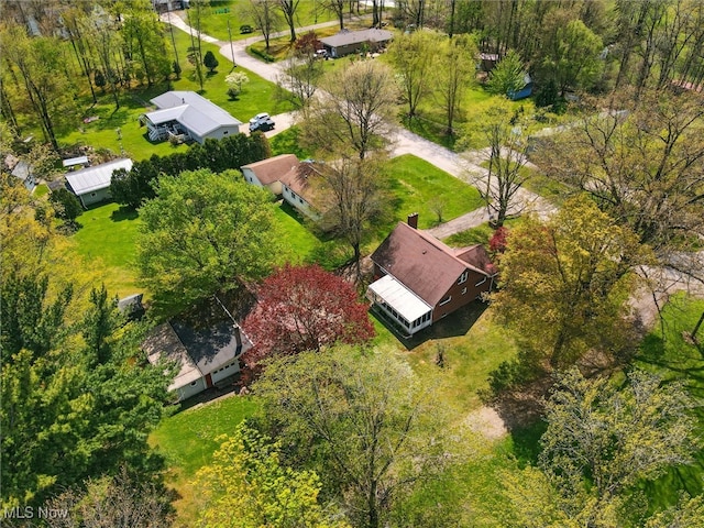 bird's eye view