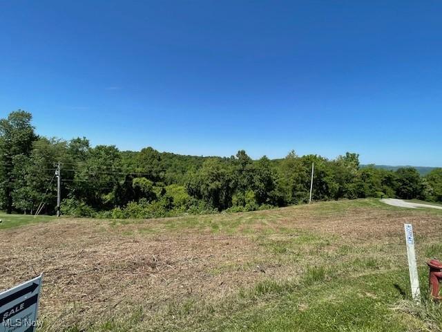 Country Blvd, Clarington, OH 43915