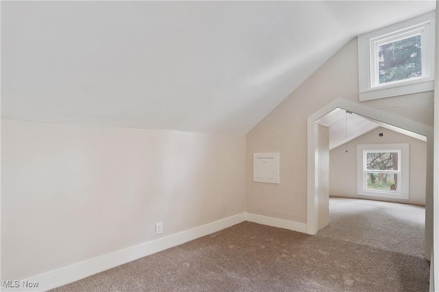 460 Carthage Ave, Kent, OH 44240 - bonus room with carpet floors, baseboards, lofted ceiling, and a healthy amount of sunlight