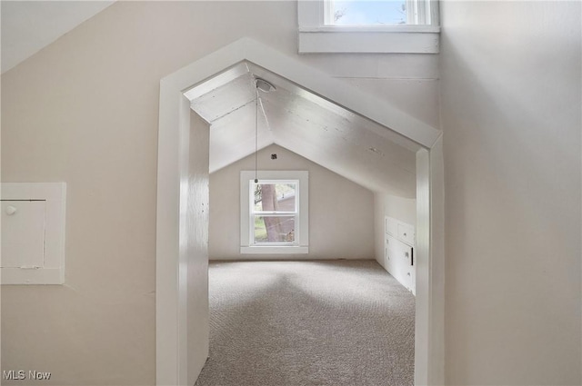 460 Carthage Ave, Kent, OH 44240 - additional living space with carpet floors and lofted ceiling