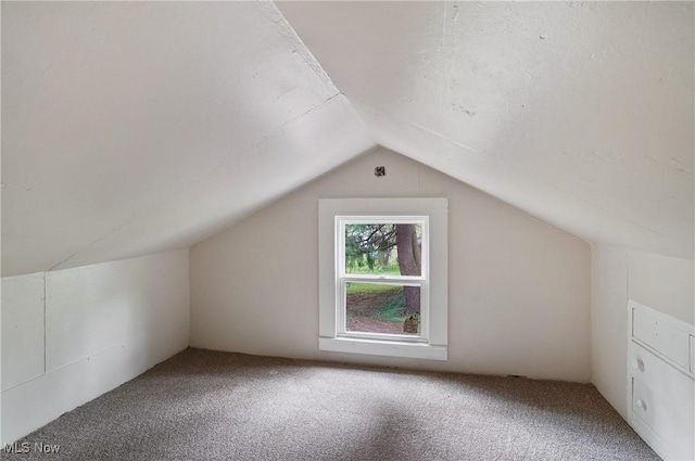 460 Carthage Ave, Kent, OH 44240 - additional living space featuring lofted ceiling and carpet