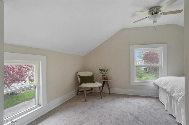 460 Carthage Ave, Kent, OH 44240 - bedroom featuring carpet flooring, a ceiling fan, baseboards, and vaulted ceiling