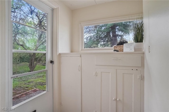 460 Carthage Ave, Kent, OH 44240 - entryway with plenty of natural light