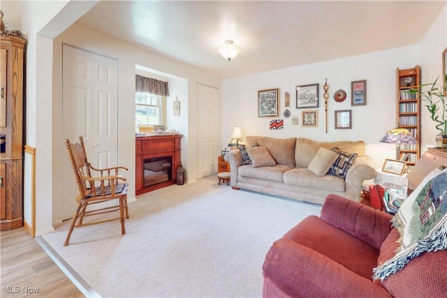 living room with a glass covered fireplace and light wood-type flooring